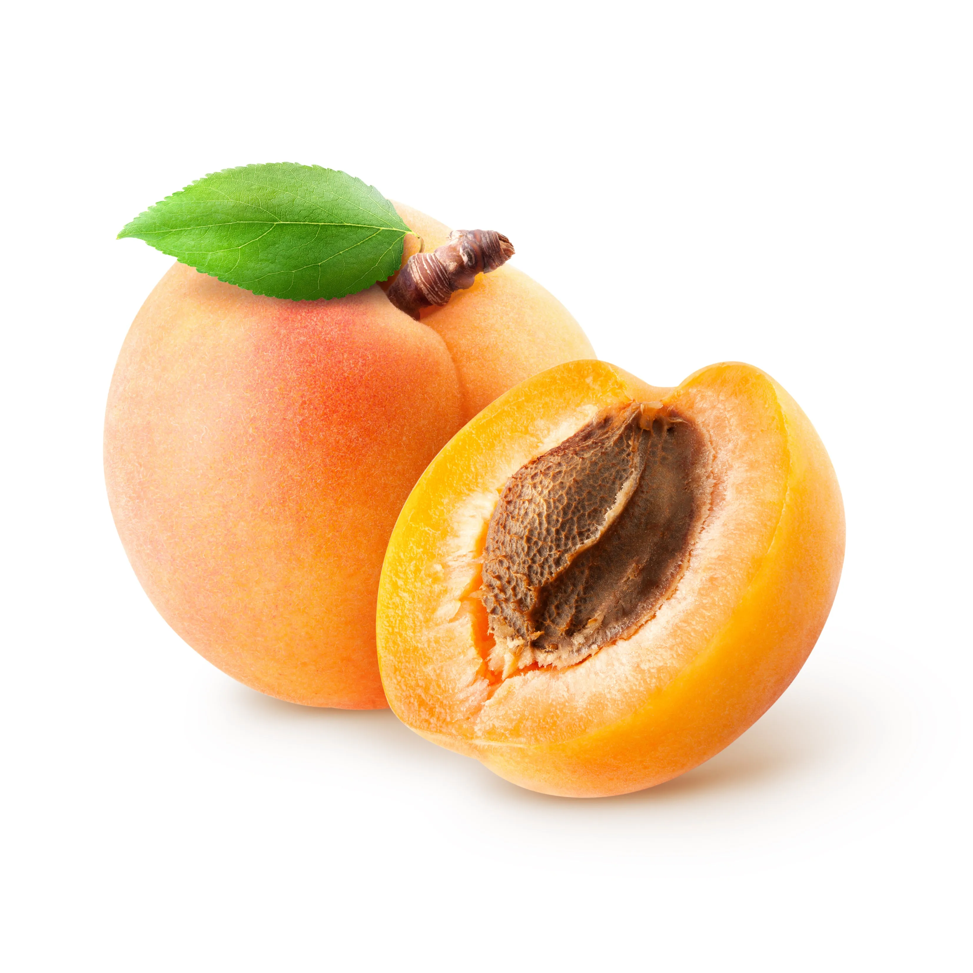 Apricot Kernel Oil, Organic